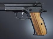 TZ-75, EAA P9 Handgun Grip
